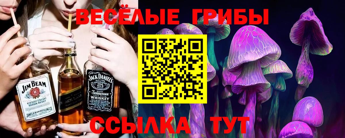 Псилоцибиновые грибы мицелий  Наро-Фоминск  Галлюциногенные грибы Psilocybine cubensis 