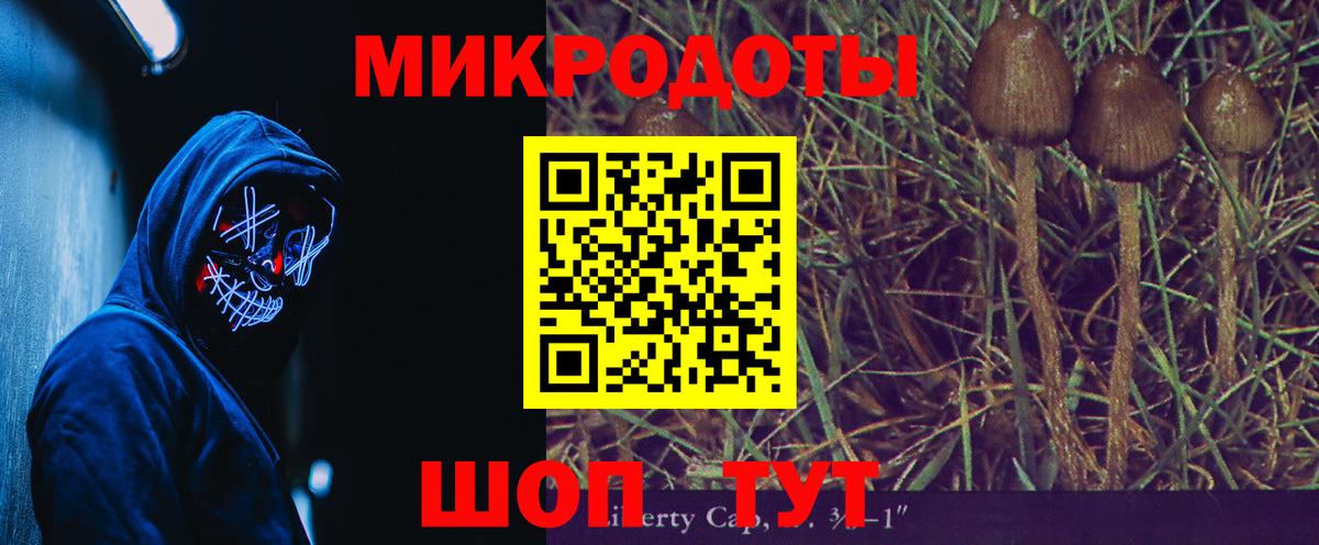 Псилоцибиновые грибы мицелий Наро-Фоминск