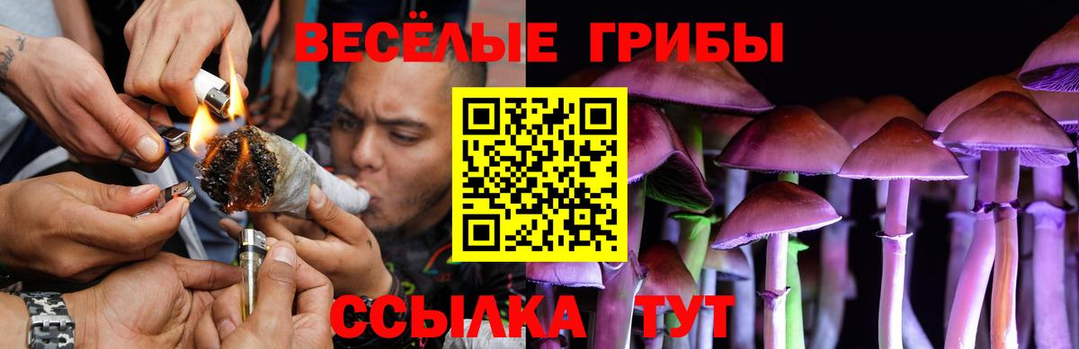 Галлюциногенные грибы прущие грибы Наро-Фоминск