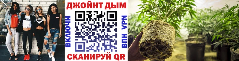 МАРИХУАНА SATIVA & INDICA Наро-Фоминск